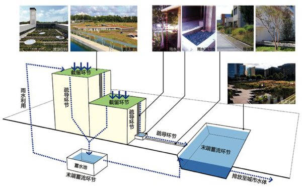 图1 建筑雨水利用示意图