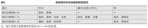 表5 各断面所在地块植物群落现状