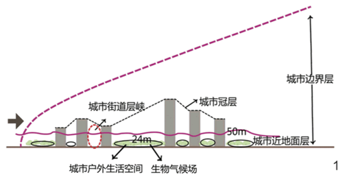 图1 “生物气候场”空间界定(作者绘)